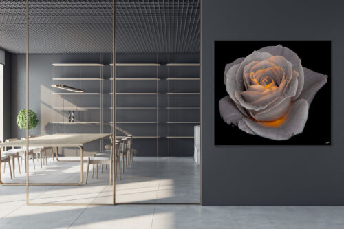 Roos van Oranje in kantoor - Gallery Eikona