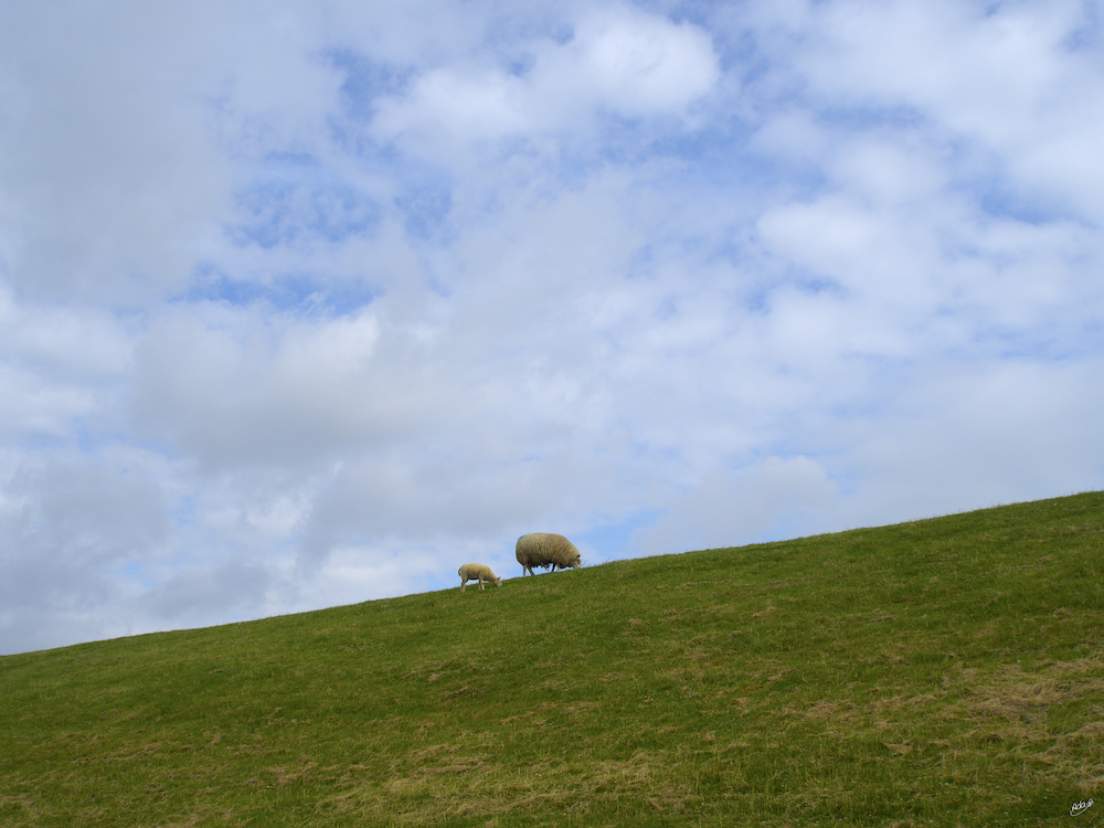 Dutch Mountain - Afbeelding 2